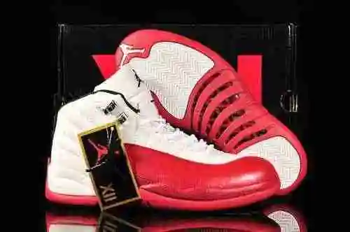 JORDAN Jordan Dan de 12.a generación, réplica oficial, edición de tapa dura, zapatos para hombre 41-