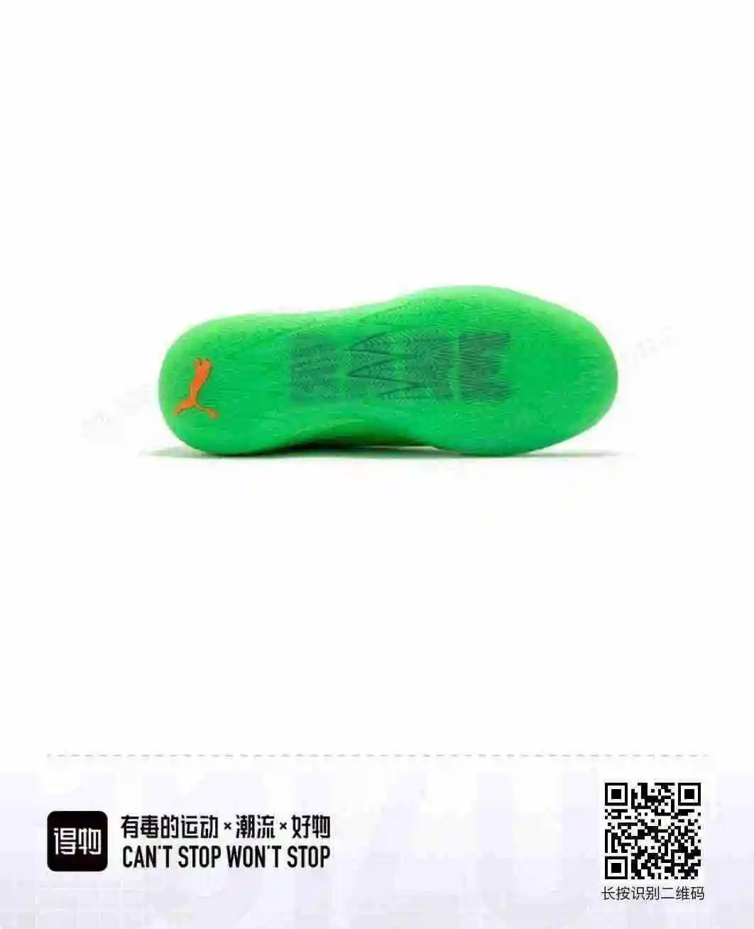 08DB2CF0-F948-4E62-9826-6E4B4878CE8A.webp