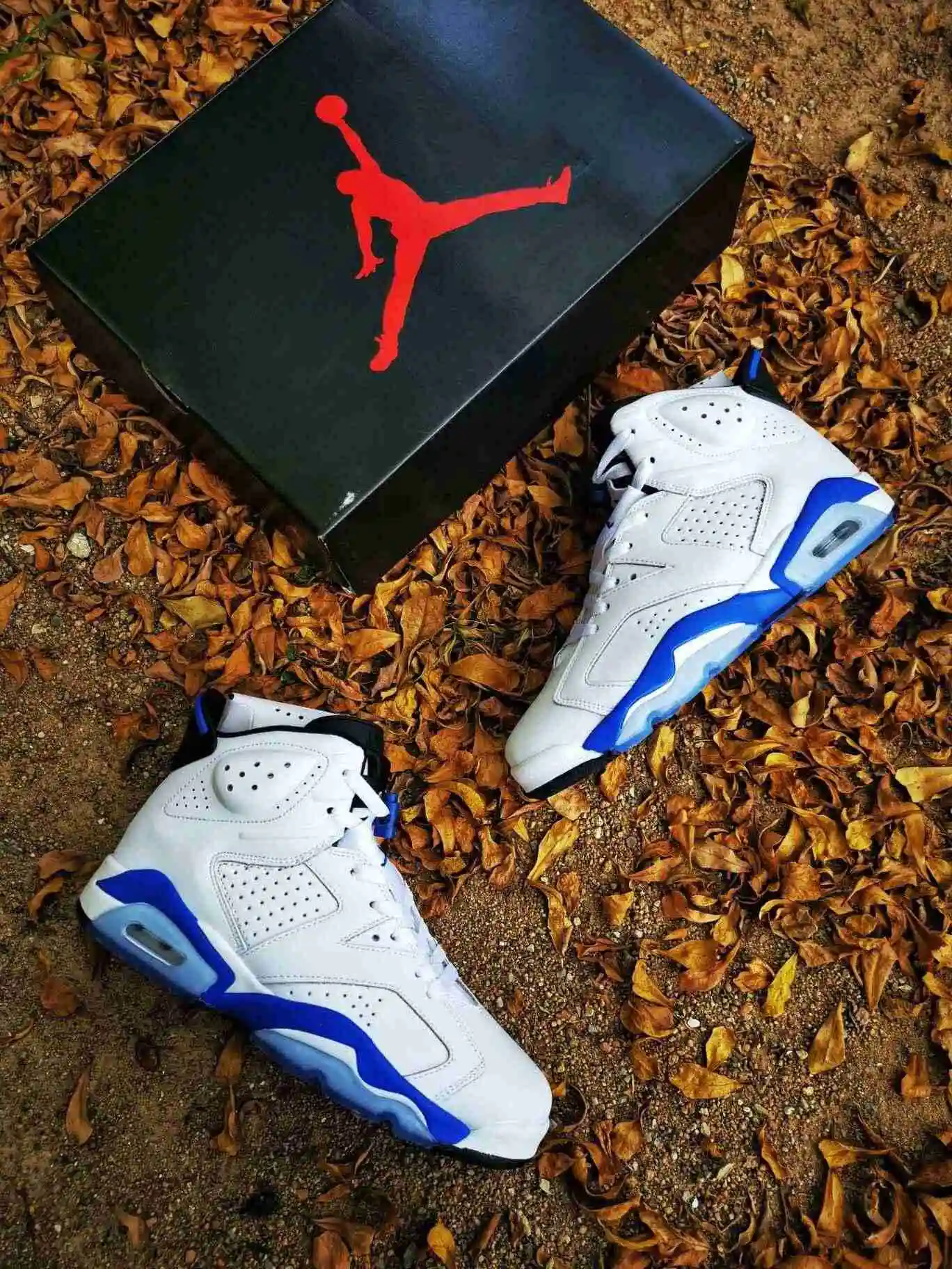 Air Jordan 6 白蓝二层超软36----47带半码 (5).webp