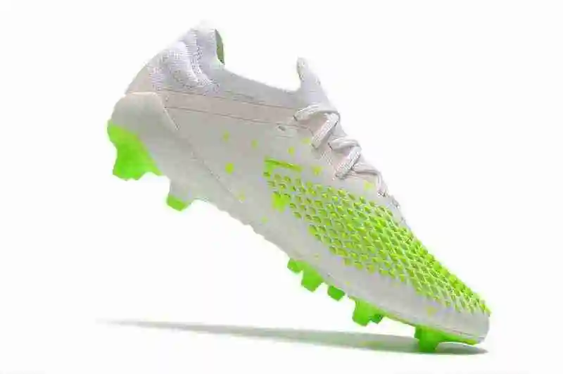 DSC_2025.webp