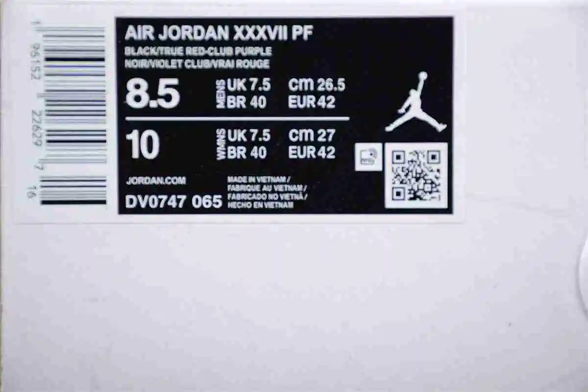 DSC_3130.webp