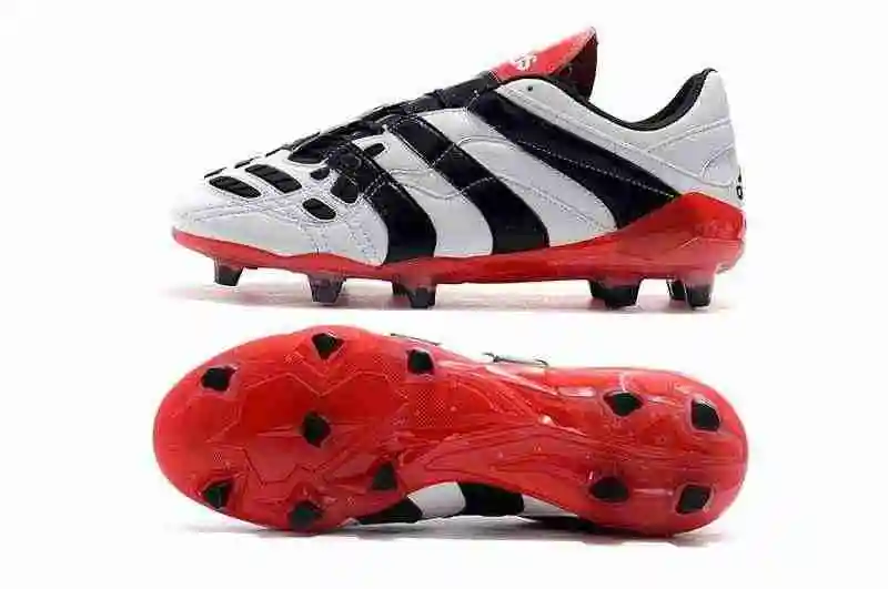 DSC_3711.webp