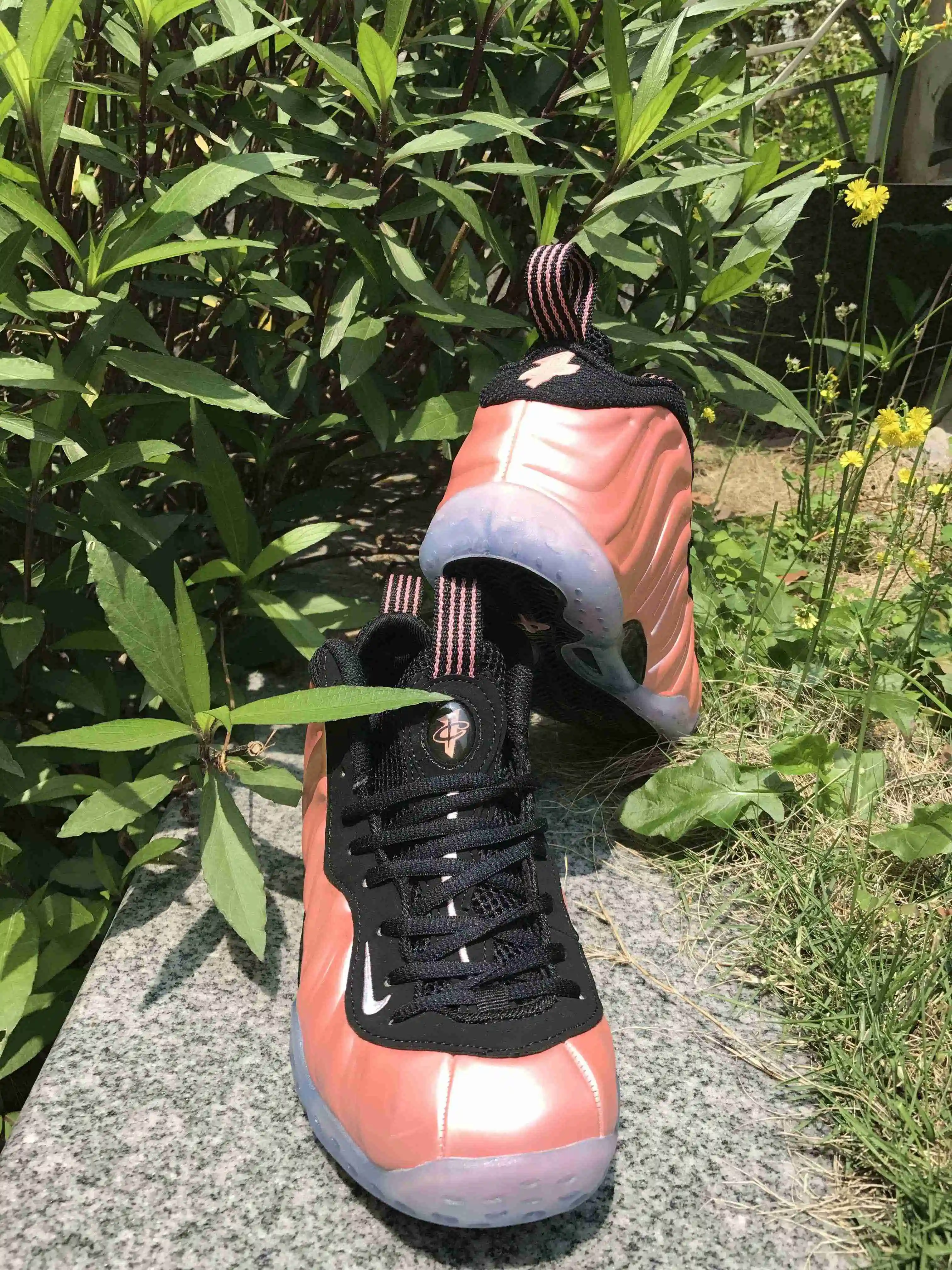 哈达威IMG_0655.webp