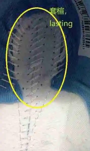 QQ截图20190630013353.webp