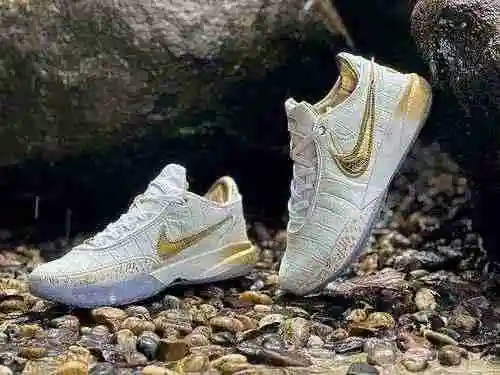 Zapato de baloncesto profesional Nike LeBron 20 EP James 20th Platinum: DJ5422-002