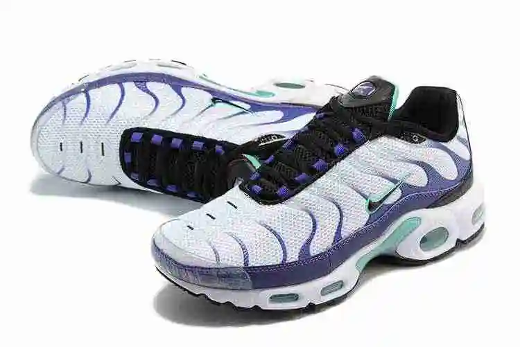 Nike Air Max Plus “Grape”DM0032-100 40-46 (5).webp