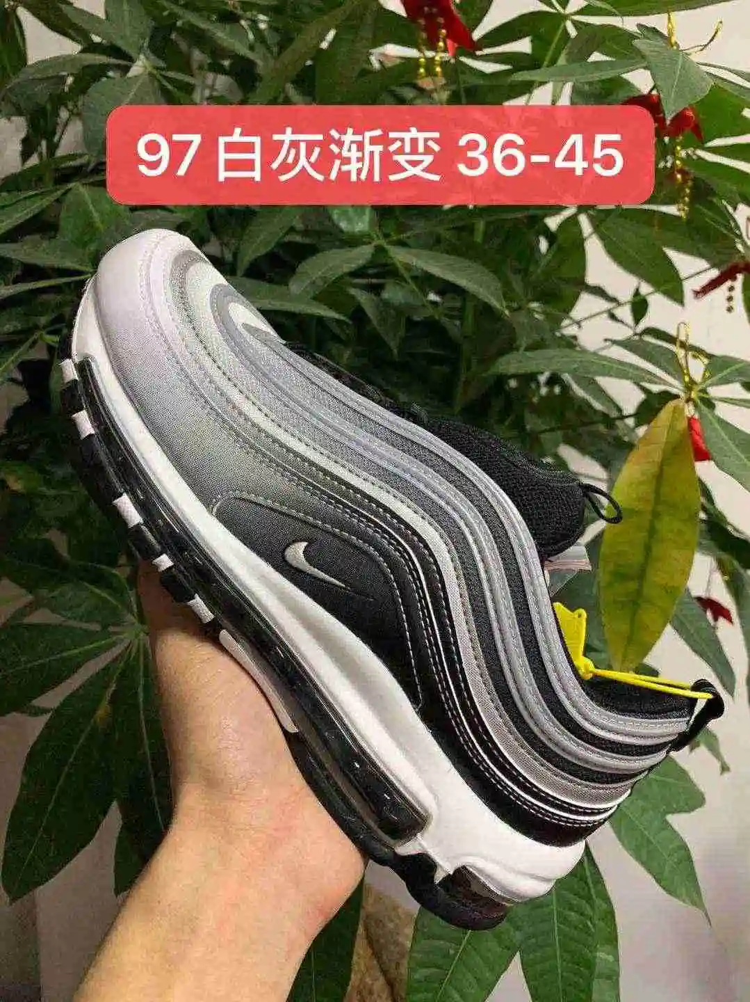 白灰.webp