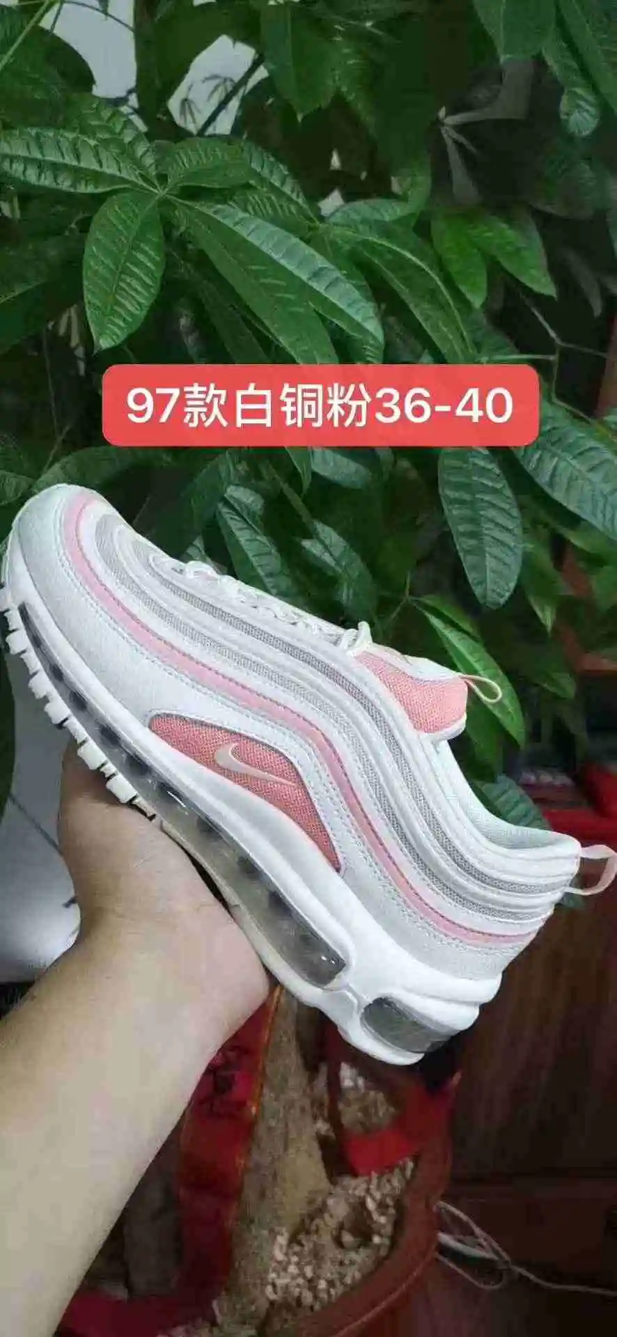 C92A04DE-2BB9-490E-BBDA-7C3EF587DFB6.webp