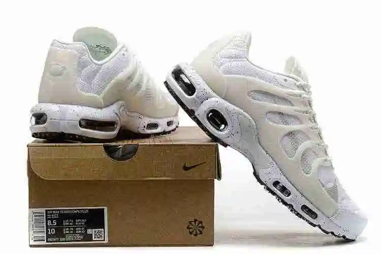 Nike Air Max Terrascape Plus DQ3977-100 40-46 (2).webp