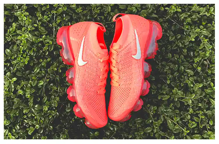 xx33 (2).webp