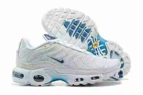 Sin accesorios Nike Air Max Plus DR7853-100 40-46