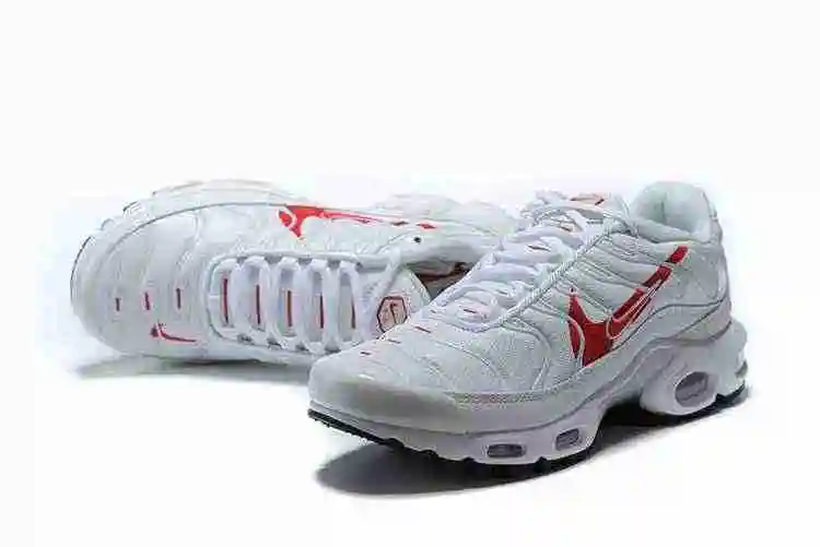 Nike Air Max Plus CU3454-100 40-46 (3).webp