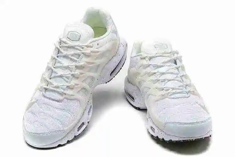 Nike Air Max Terrascape Plus DQ3977-100 40-46 (4).webp