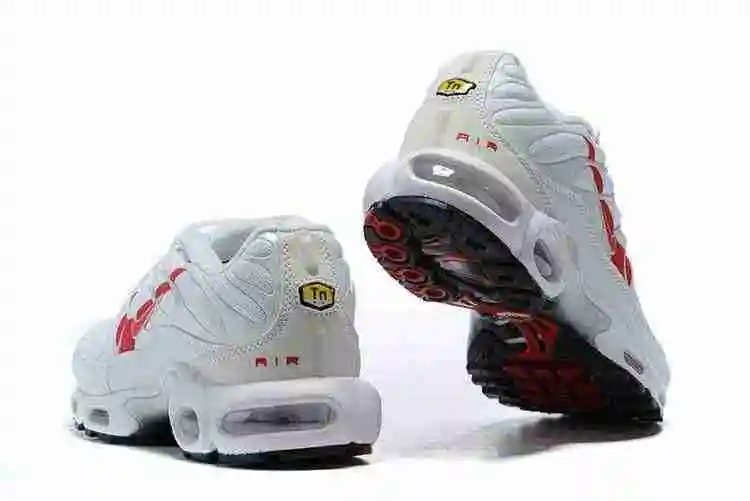 Nike Air Max Plus CU3454-100 40-46 (1).webp
