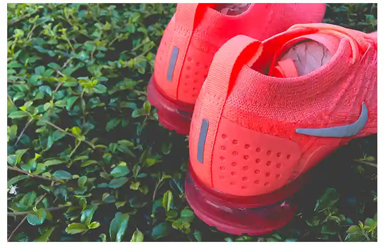 xx33.webp