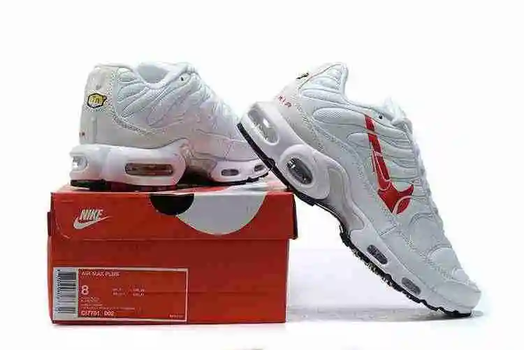 Nike Air Max Plus CU3454-100 40-46 (6).webp