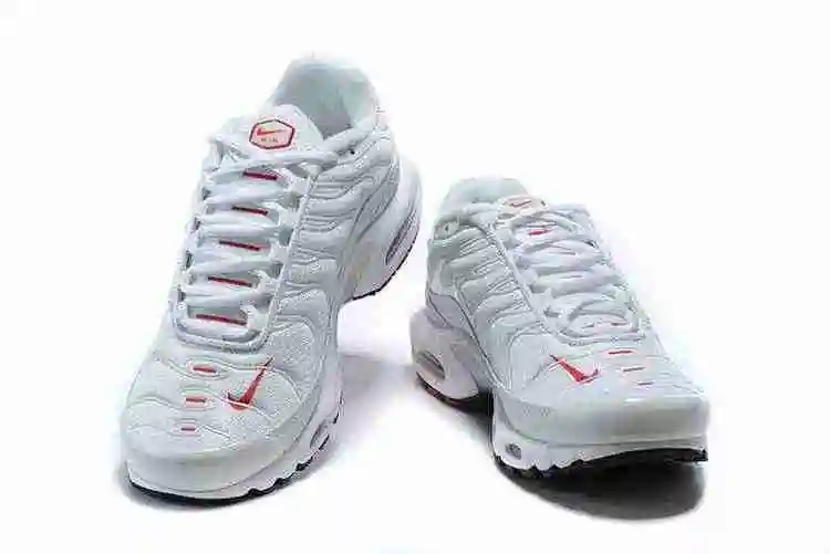 Nike Air Max Plus CU3454-100 40-46 (2).webp