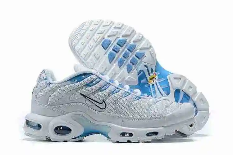 Nike Air Max Plus Blue Fury 852630-105 40-46 (4).webp