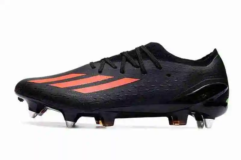 DSC_1000.webp