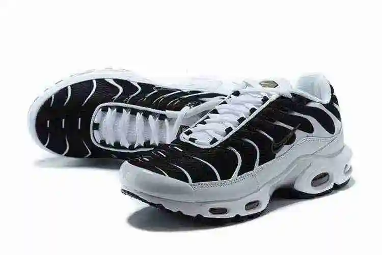 Nike Air Max Plus CT1094-102 40-46 (4).webp