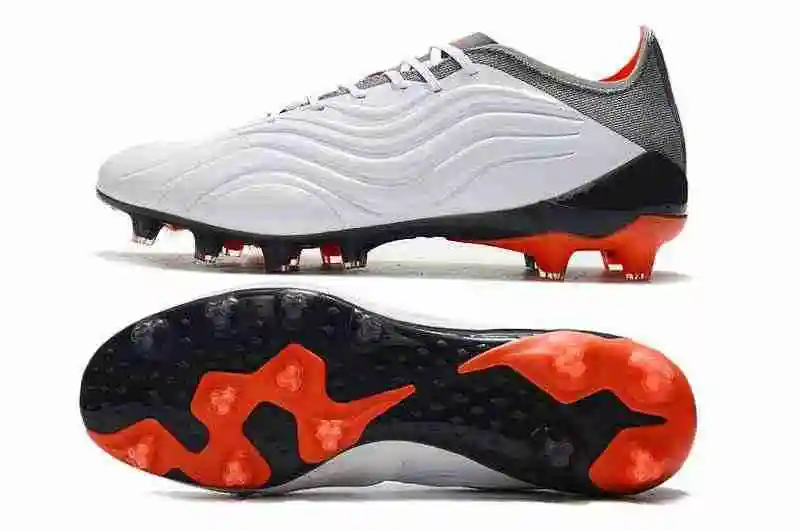 DSC_5061.webp