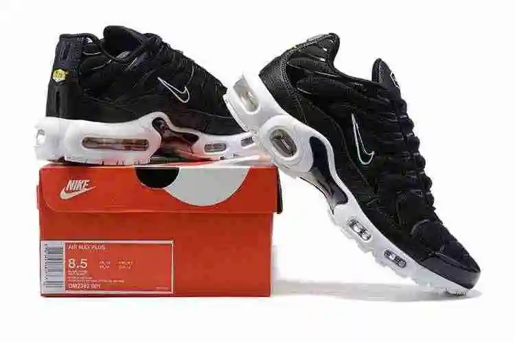 Nike Air Max Plus DM2362-001 40-46 (3).webp