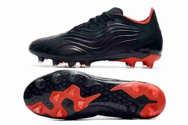 DSC_8392.webp
