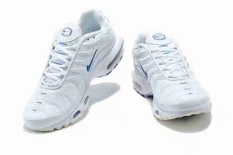 Nike Air Max Plus DN6994-100 40-46 (3).webp