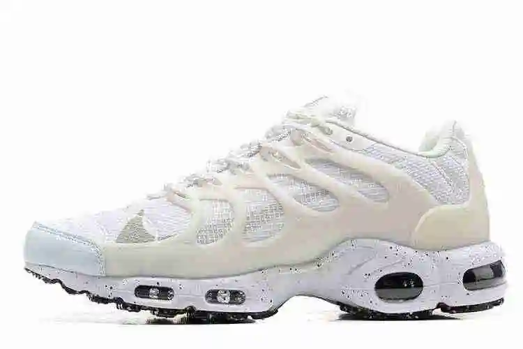 Nike Air Max Terrascape Plus DQ3977-100 40-46 (5).webp