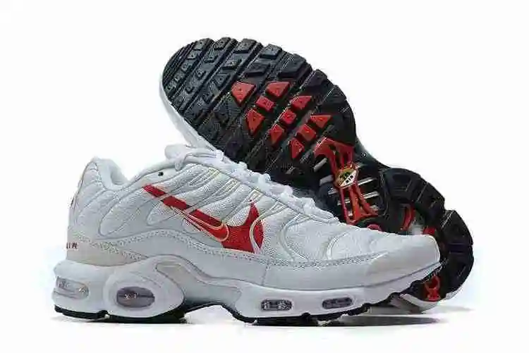 Nike Air Max Plus CU3454-100 40-46 (4).webp