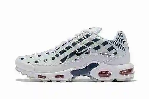 Nike Air Max Plus Mujer CI9103-100 40-46