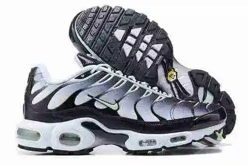 Nike Air Max Plus DH4776-100 40-46