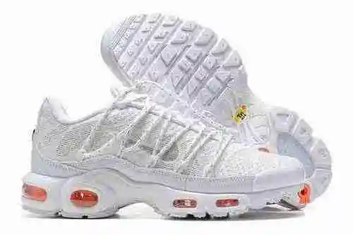 Nike Air Max Plus FJ4232-100 40-46
