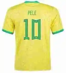 17.webp