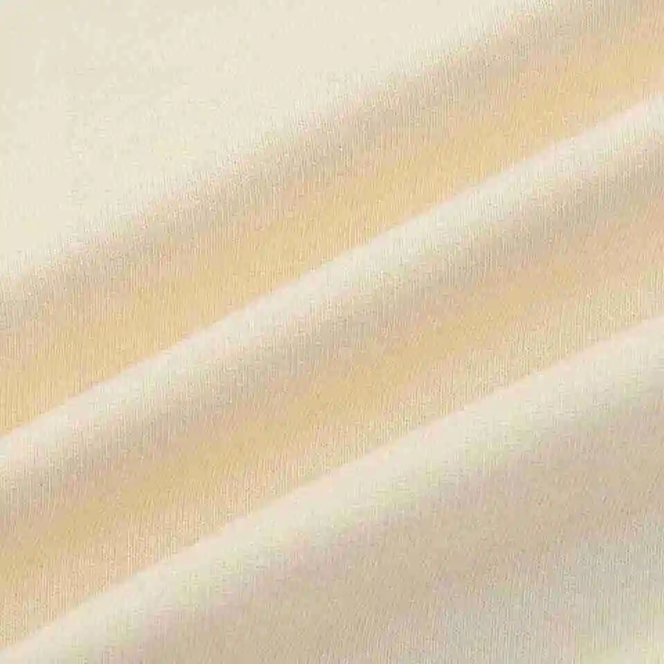 53868C3E-9552-4020-92AE-2A4AAFCE3426.webp
