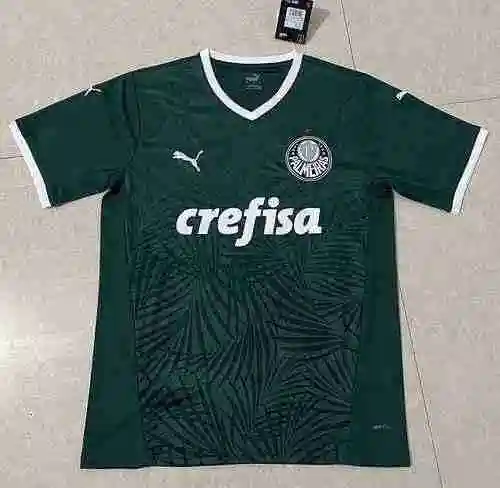Palmeiras