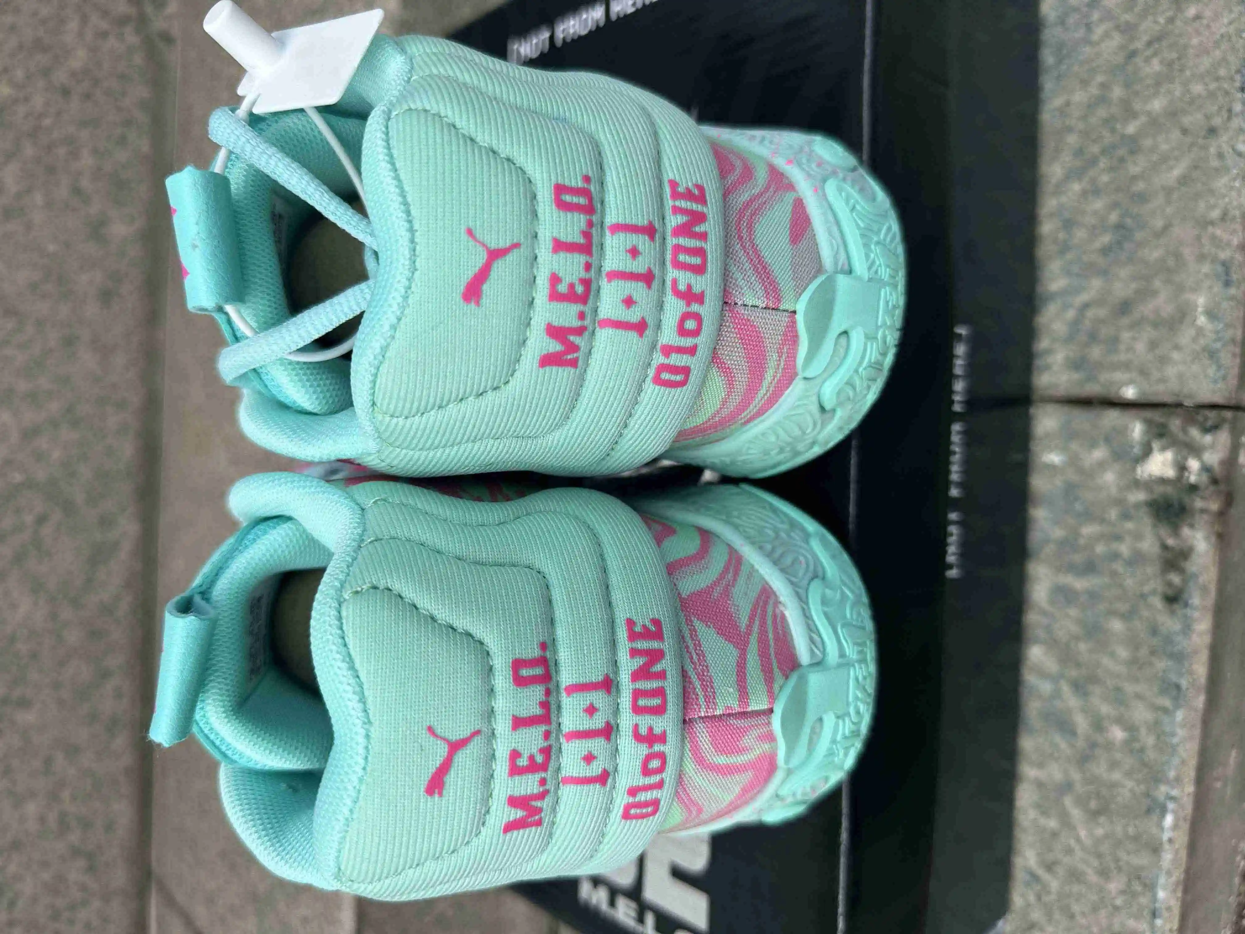 87925c01.webp