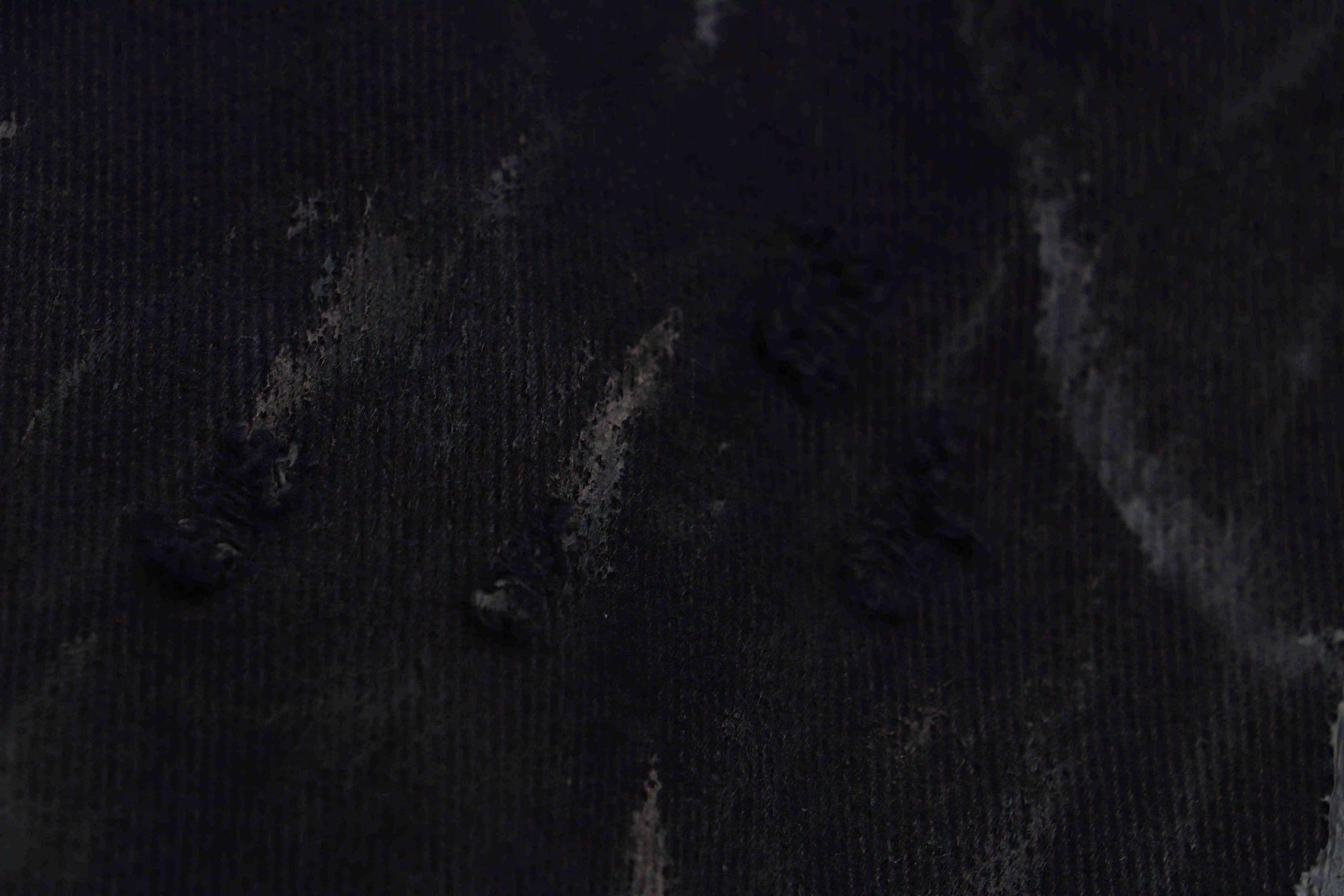 IMG_8726.webp
