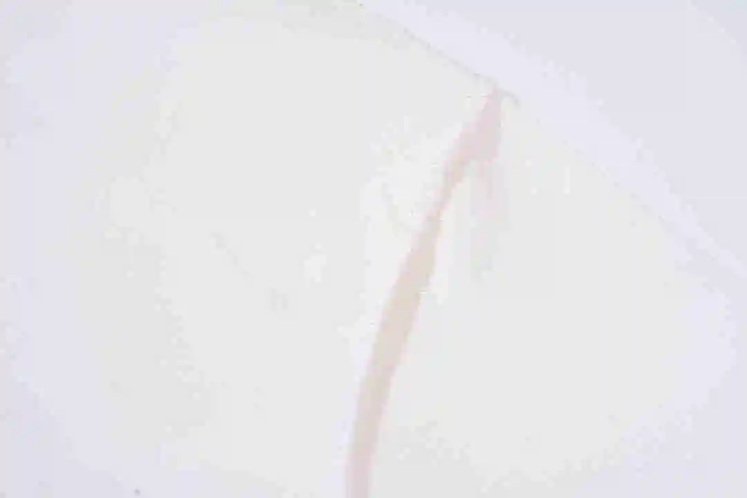wsxc1691318720608_4.webp