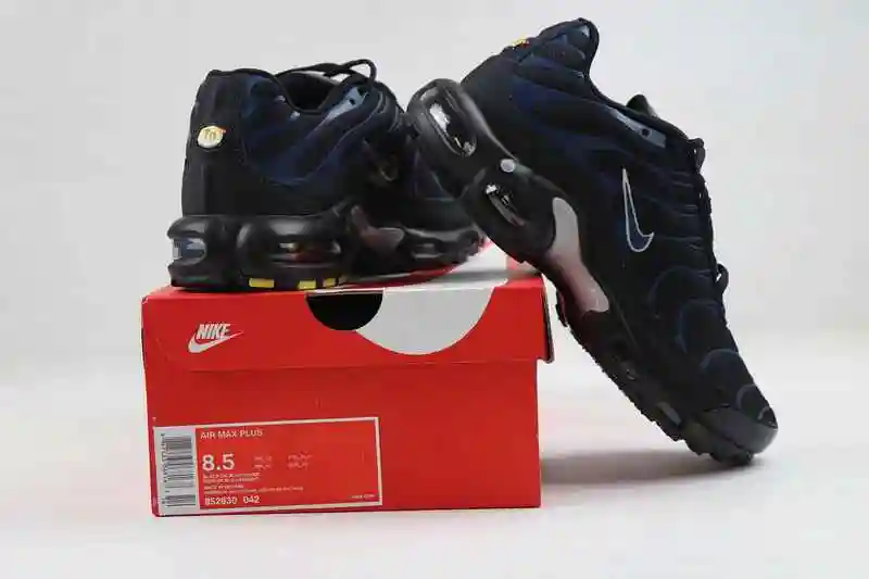 Nike Air Max Plus 40-46 (3).webp