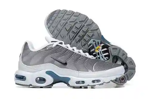 Nike Air Max Plus "Peltre Plano" DV7665-002 40-46