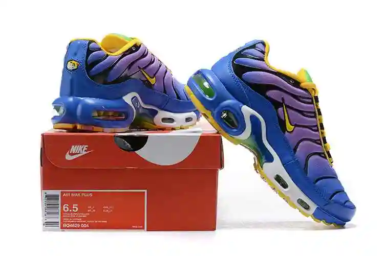 Nike Air Max Plus 36-40 (1).webp