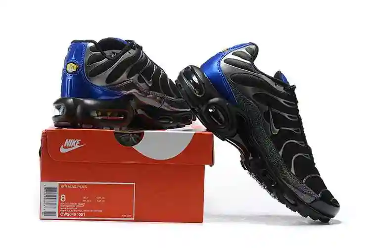 Nike Air Max Plus CW2646-001 40-46 (6).webp