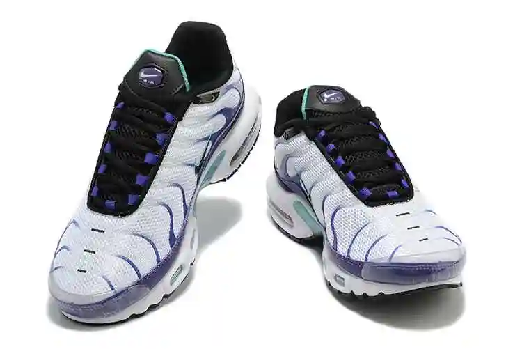 Nike Air Max Plus 鈥淕rape鈥滵M0032-100 40-46 (1).webp
