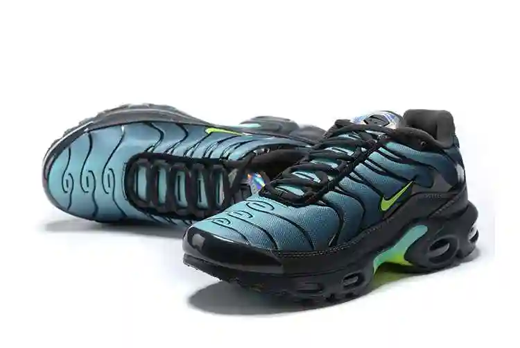 Nike Air Max Plus CV1636-001 40-46 (4).webp