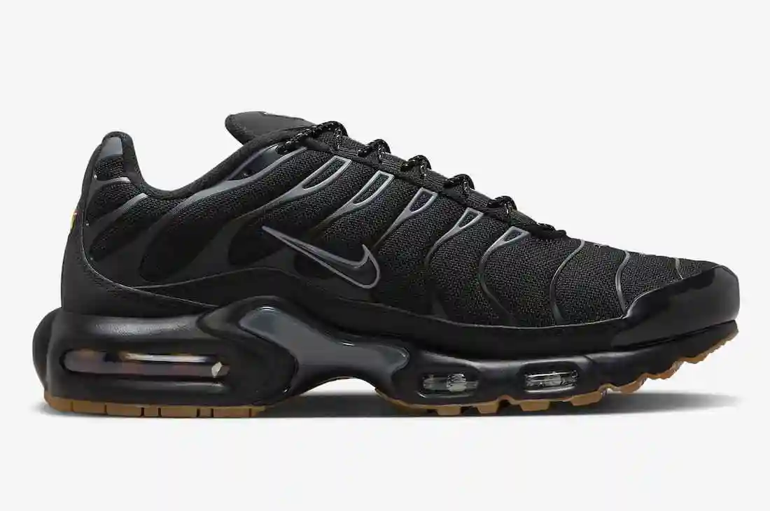 Nike-Air-Max-Plus-Black-Gum-FV0385-001-1.webp