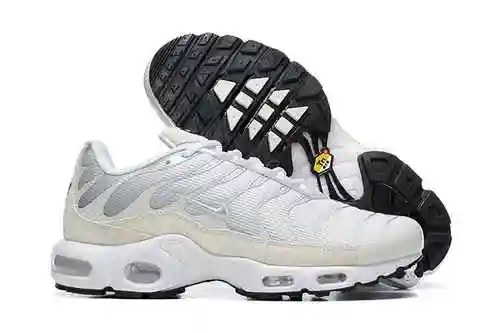 Nike Air Max Plus "Platino Puro" FN7813-001 40-46