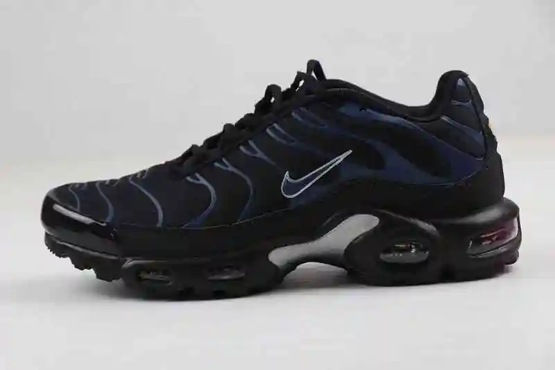 Nike Air Max Plus 40-46.webp