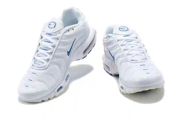 Nike Air Max Plus DN6994-100 40-46 (3).webp
