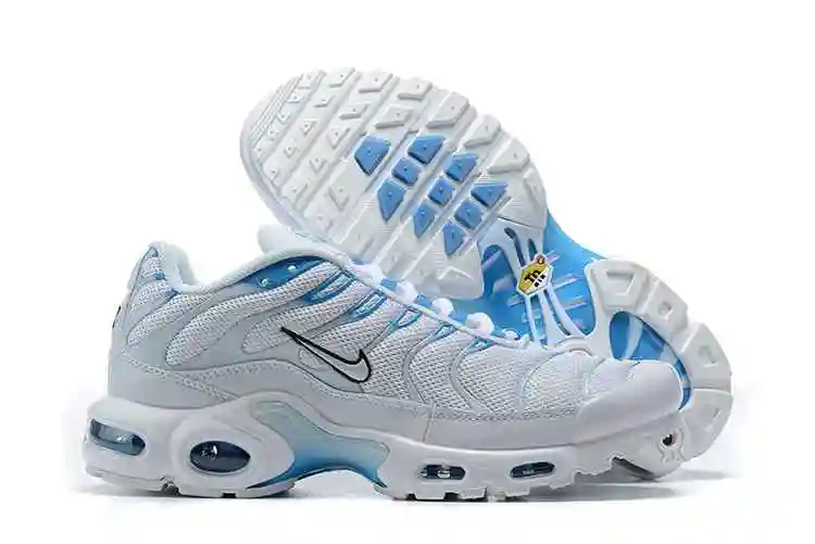 Nike Air Max Plus Blue Fury 852630-105 40-46 (4).webp